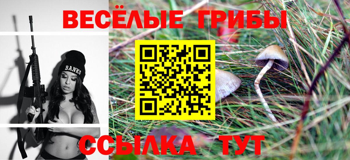 Псилоцибиновые грибы ЛСД Сухой Лог